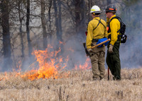 Burning of Manassas