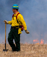 Fire Line
