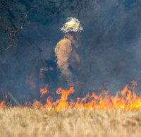 Through the Flames