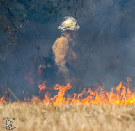 Through the Flames