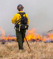 Fire Line