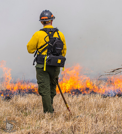 Fire Line