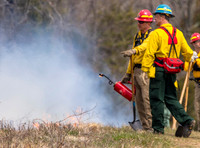 Fire Line