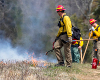 Fire Line