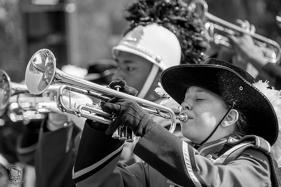 Marching Pirate
