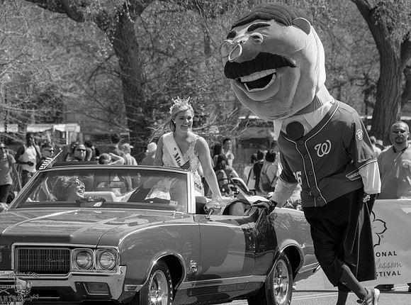 Miss America and Teddy
