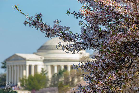 Jefferson