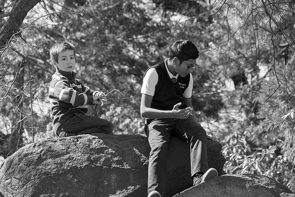 On a Rock