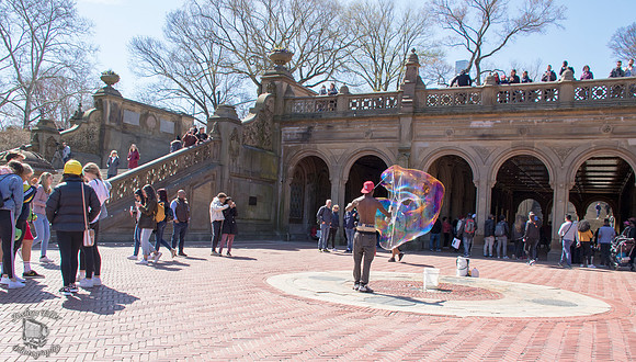 Central Park