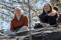 On the Rock