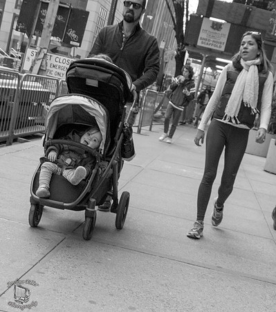 Stroller