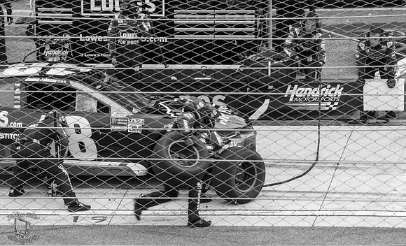 Jimmie Johnson