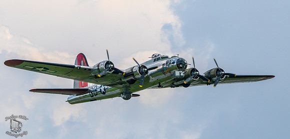 Yankee Lady