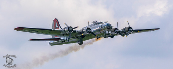 Yankee Lady
