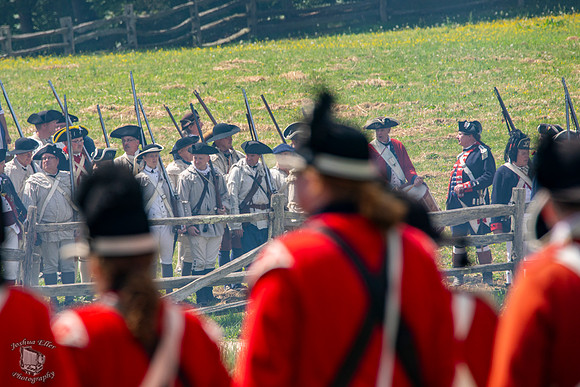 Battle Line