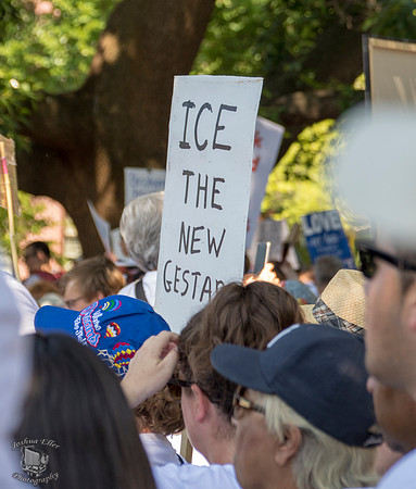 ICE the New Gestapo