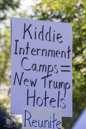 New Trump Hotels