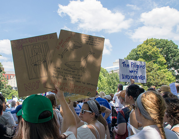 Pilgrims were undocumented