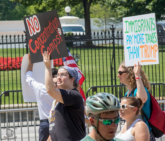Families Belong Together
