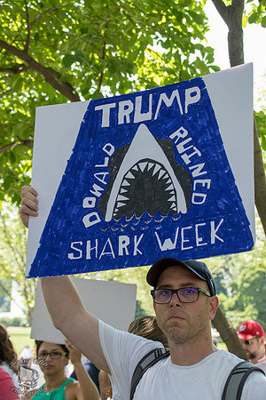 Ruined Shark Week