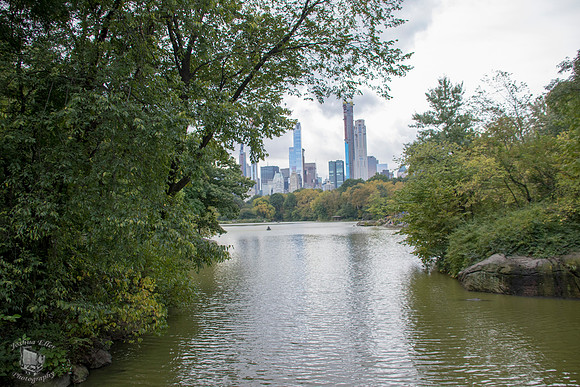 The Lake