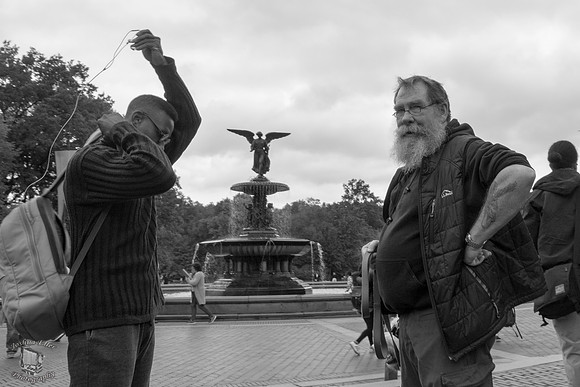 Bethesda Fountain