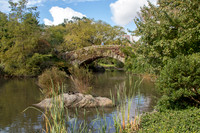 Gapstow Bridge
