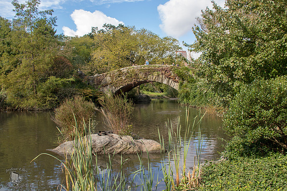 Gapstow Bridge