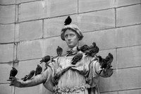 Bird God