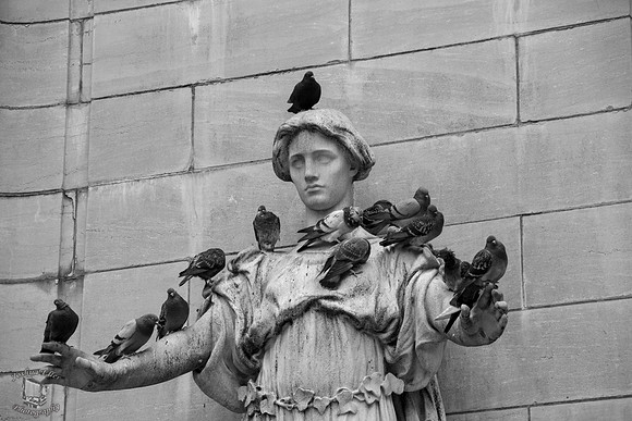 Bird God