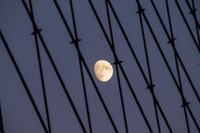 Full Moon
