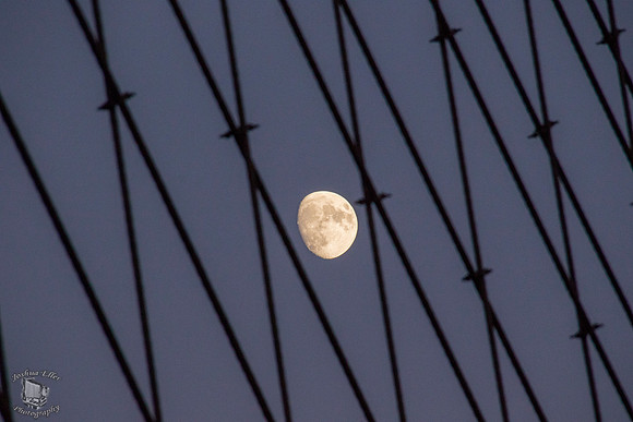 Full Moon