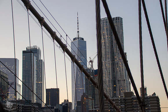 Freedom Tower