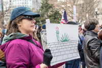 Liberty in Distress