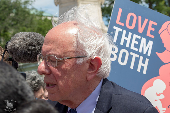 Bernie