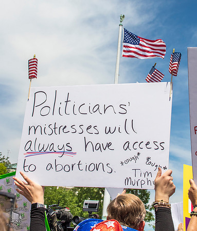 Politicians Mistresses