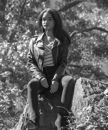 On a rock