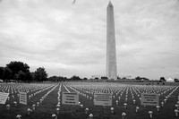 Deaths to Gun Violence