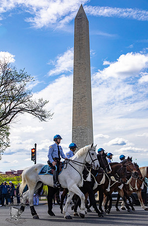 Park Police