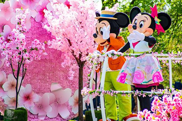 Mickey & Minnie