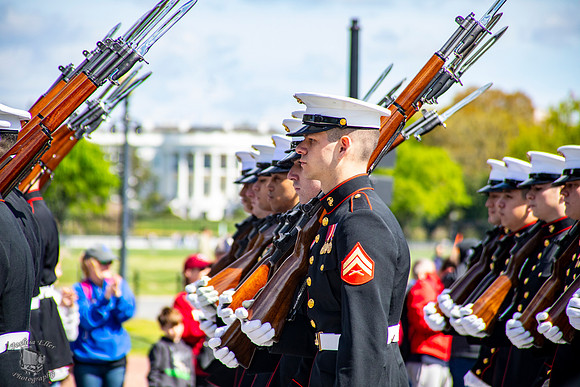 Marines