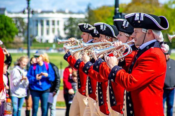 Old Guard