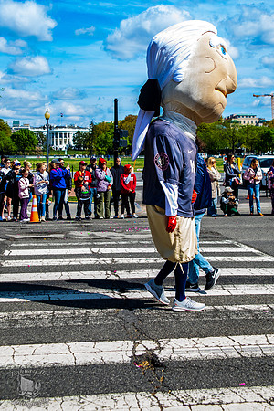 Running Washington