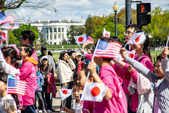 Japanese Embassy Staff