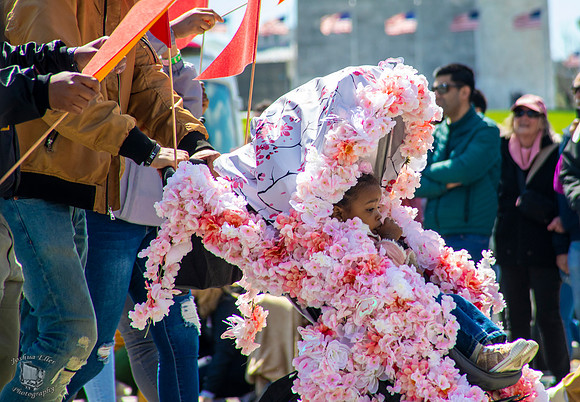 Cherry Blossom Festival Parade