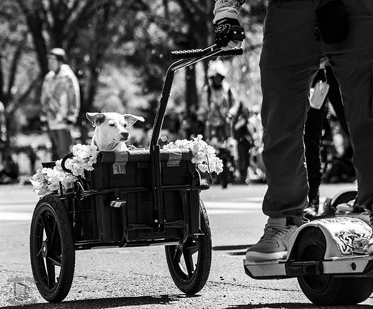 Riding Along