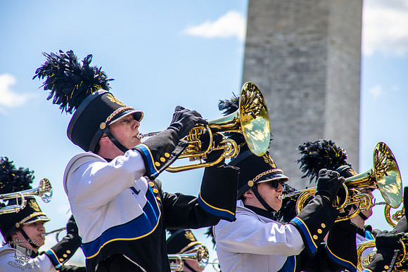 Trumpets