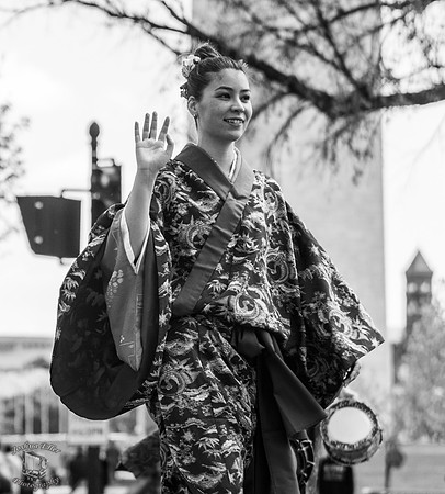Cherry Blossom Parade