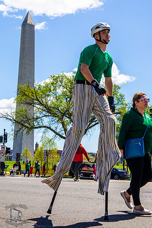 Stilts