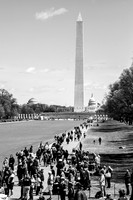 Reflecting Pool